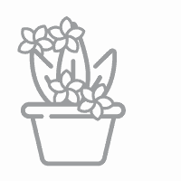 Floral-Arrangements-Icon