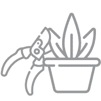 Pruning-Icon