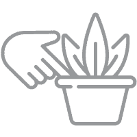 Test-Soil-Icon