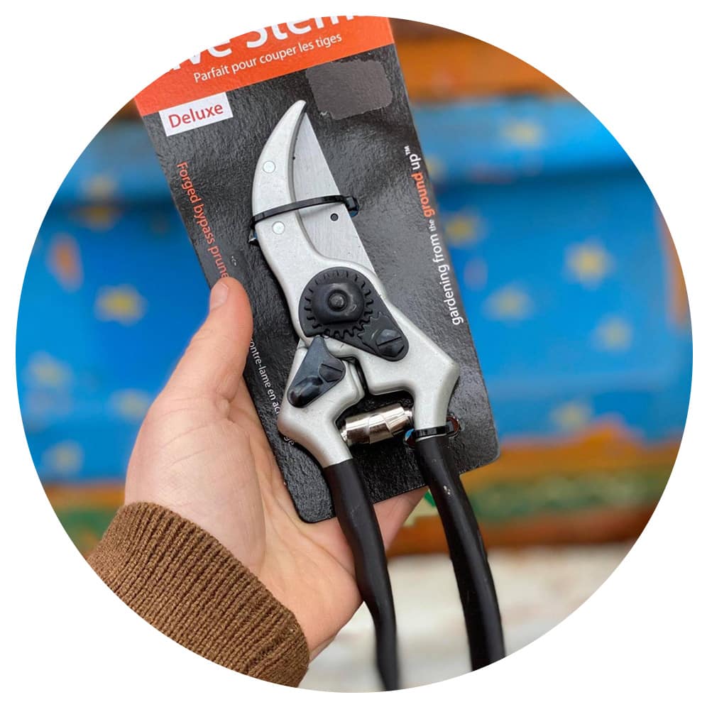 Shop Flowers & Plants | The Watering Can Flower Market