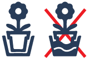 RootAir-Icon