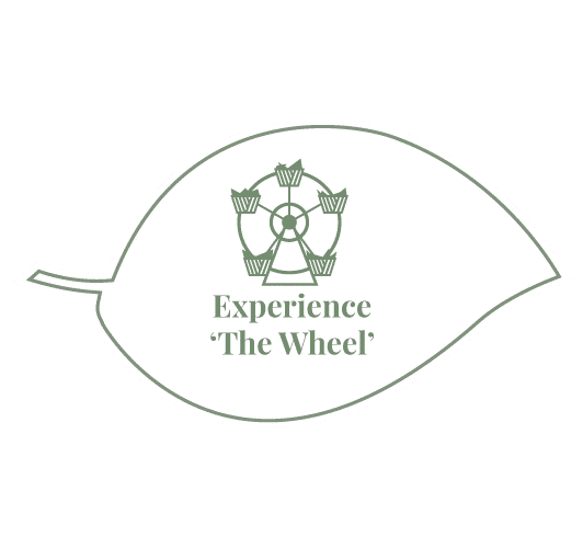 The Watering Can |Experience 'The Wheel' Icon