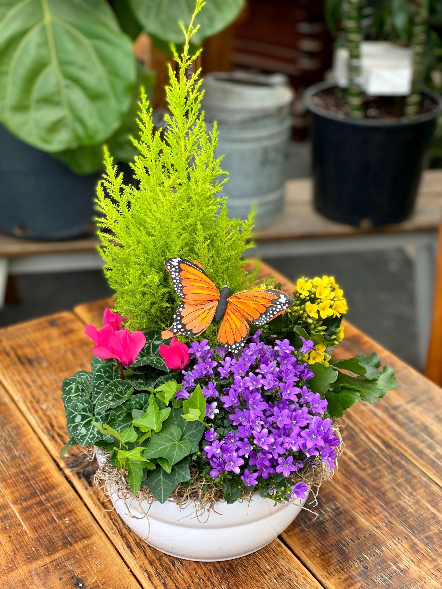 The Watering Can Flower Market Merchants of Happiness