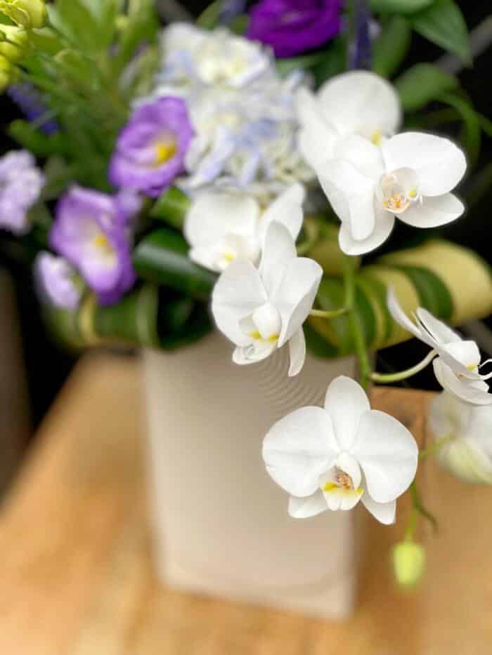 The Watering Can | Image of white orchids cascading down out of a purple and white bouquet in a white ceramic vase.