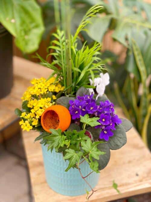The Watering Can | A midsize mixed planter with yellows, purples, green, and orange in a teal container.