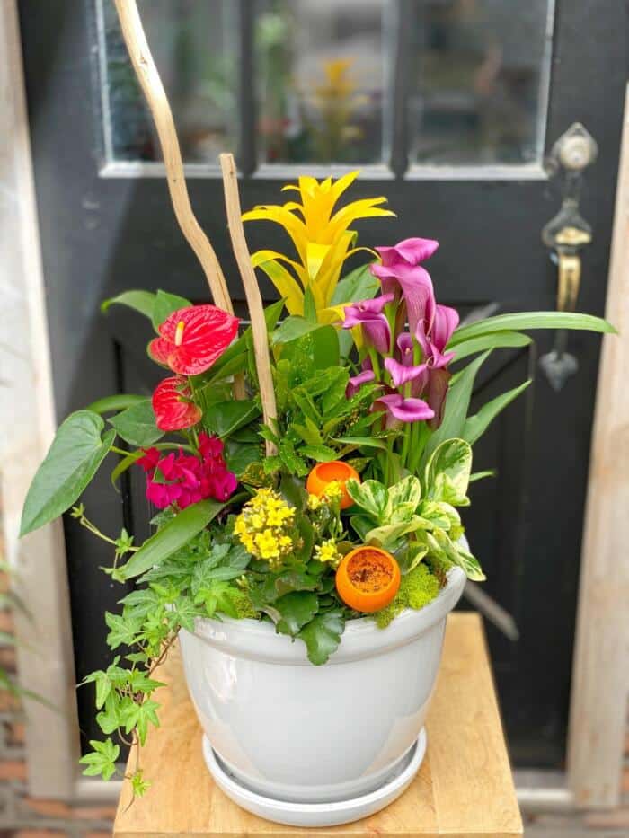 The Watering Can | A large planter with a mix of bright, warm coloured tropical plants.