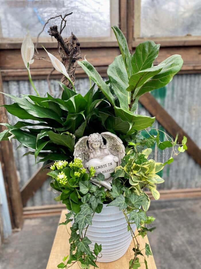 The Watering Can | A lushous green planter with white blooms and an angel figurine holding a heart that says "Always in my Heart" in a large white ceramic container.
