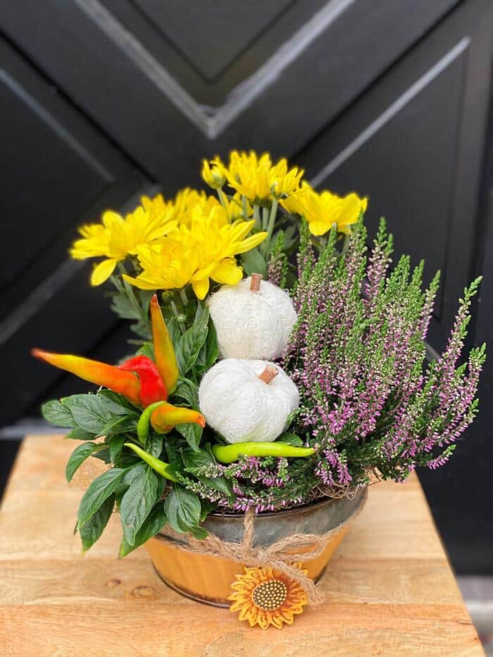 The Watering Can | A cute fall planter with peppers, mums, and heather.