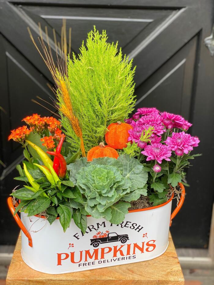 The Watering Can | A fall planter reminiscent of a country garden with peppers, cabbage, mums, kolanchoe and cypress in a container that reads "Farm Fresh Pumpkins, Free Deliveries"
