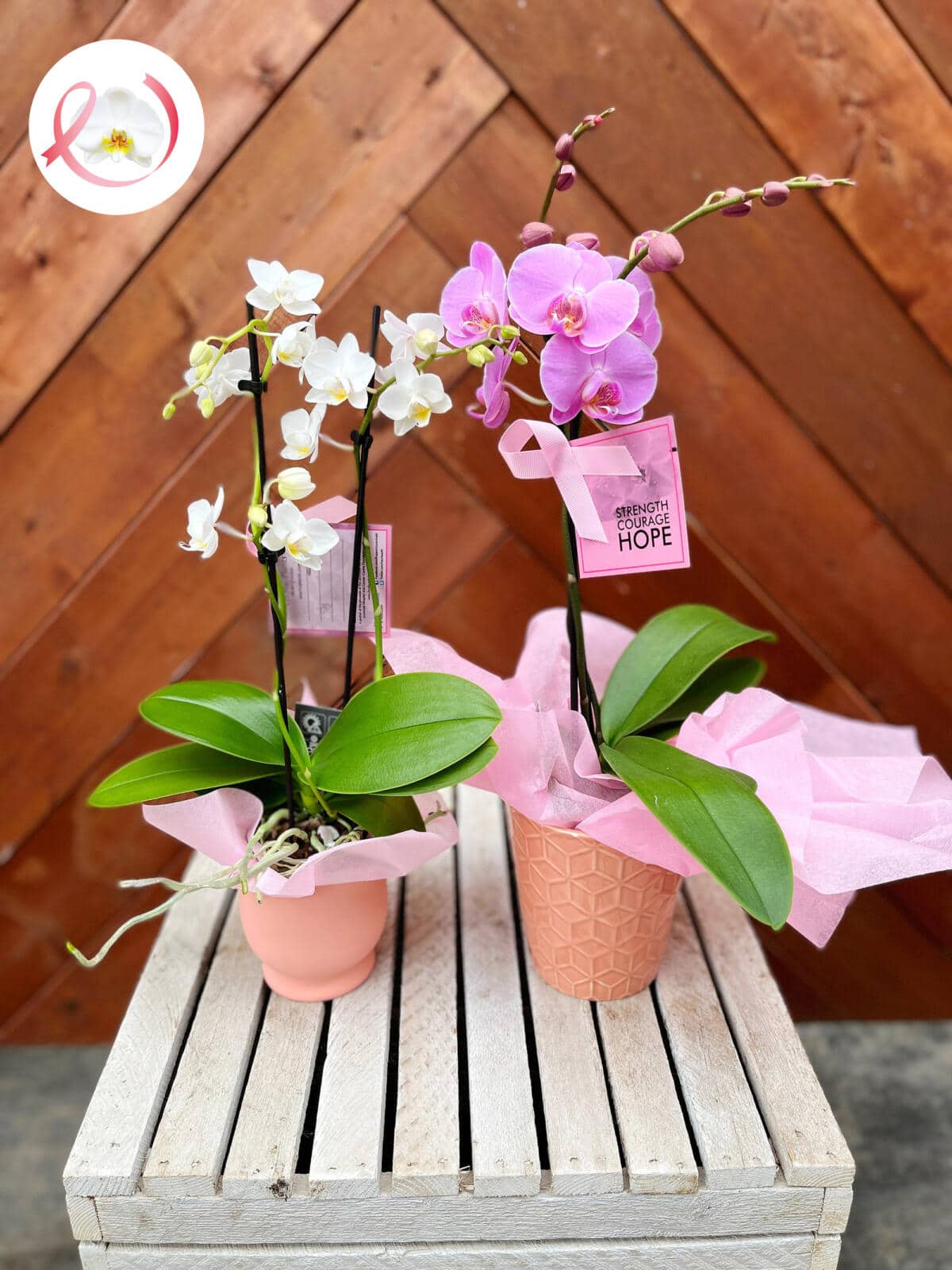 The Watering Can Flower Market Merchants of Happiness