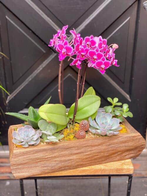 The Watering Can | A medium planter with and abundance of bright pink orchids and succulents in a rectangular wooden planter.