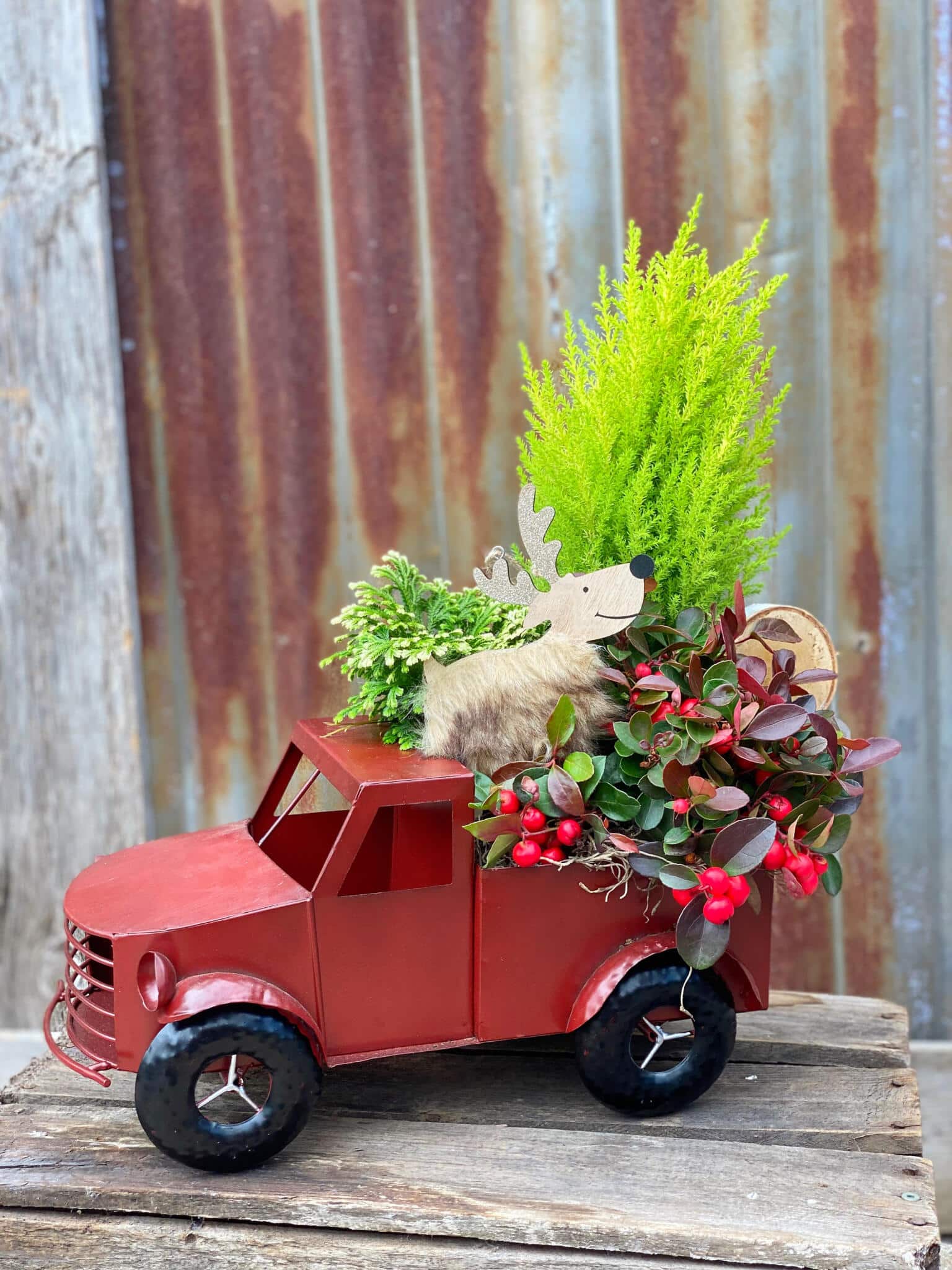 The Watering Can | A festive planter in a red turck.