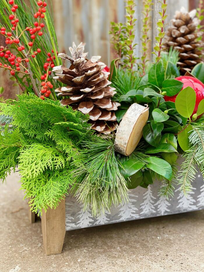 The Watering Can | Close up of the winter greens and pine cone in a large festive design.