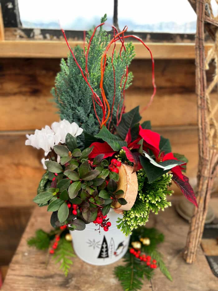 The Watering Can | A winter planter in a white tin with gnome and snowflake on it. White cyclamen, red ointsettia, red winterberry, cypress, and forsted fern create a red and white wintery design.