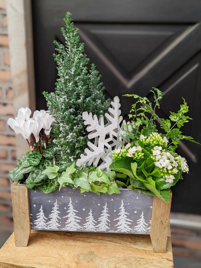 The Watering Can | White and green plants with a large planted with a large snow flake in a rectangular tin container decorated with white evergreen trees and supported by wooden legs.
