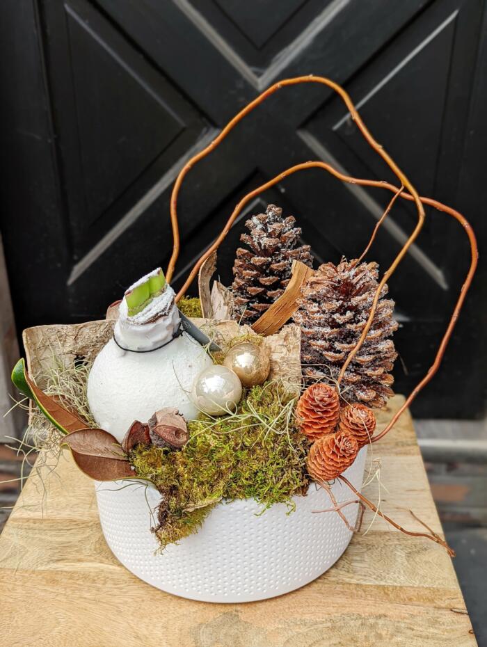 The Watering Can | A large white amarylis bulb, pinecones, birch bark, and magnolia leaves in a bed of moss all nestled in a low round white ceramic container.