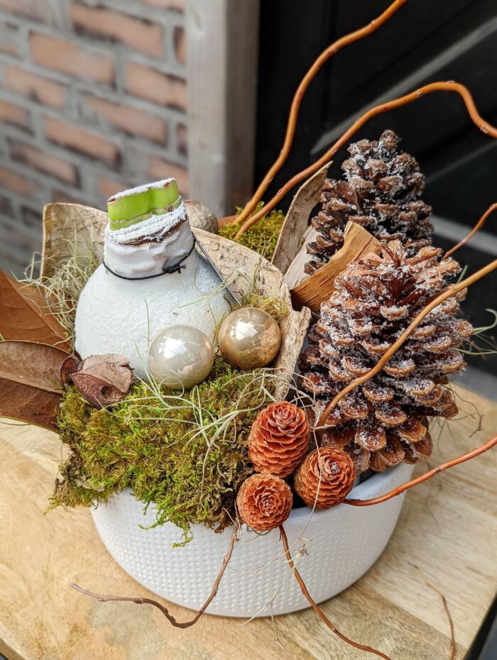 The Watering Can | View from above of a festive arrangement featuring a large white amarylis bulb. pine cones, and birch bark in a bed of moss,