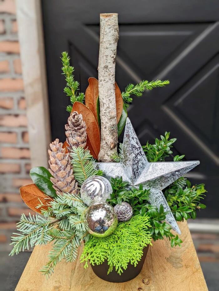 The Watering Can | A festive arrangemnet featuring a silver star, birch pole, pine cones, and silver balls arranged with winter greens in a black ceramic pot.